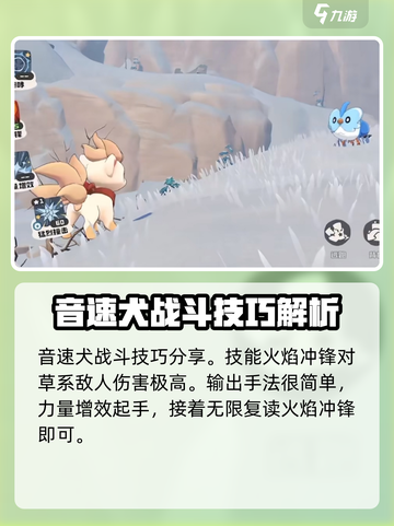 洛克王国手游音速犬怎么获得介绍截图4
