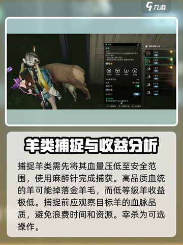 《七日世界》金羊毛获取攻略💎轻松搞定！截图4