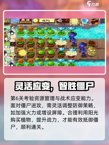 🎮植物大战僵尸杂交版第六关通关秘籍！🔥截图4