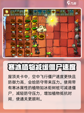 植物大战僵尸屋顶花园🔥技巧大全，玩法规则一网打尽！游戏技巧分享💡截图4