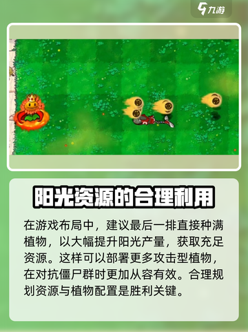 植物大战僵尸杂交版向日葵怎么样介绍截图3