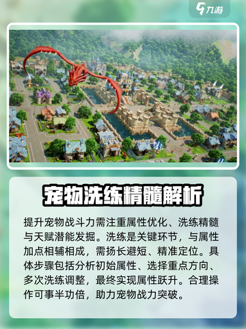 魔力宝贝复兴版🔥宠物洗练终极攻略✨截图2