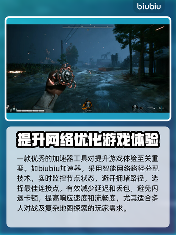 TheBornless黑屏闪退？无生者延迟丢包解决办法✨🎮截图5