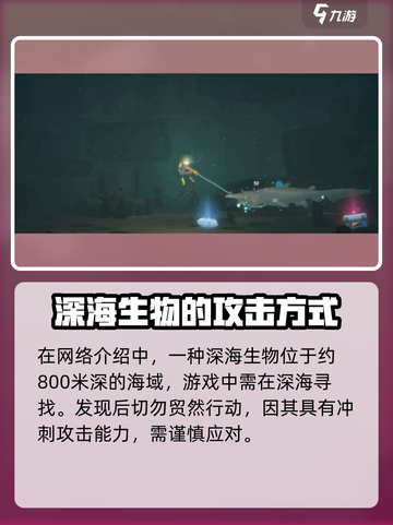 潜水员戴夫尖吻鲨在哪里介绍截图2
