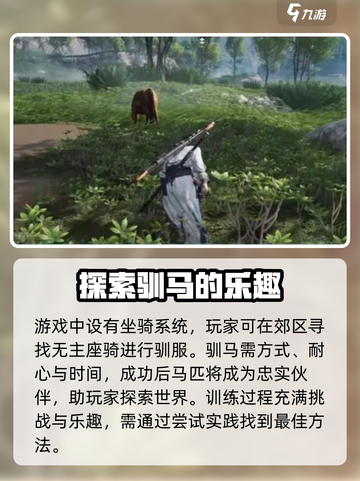 燕云十六声🔥超全休闲玩法攻略分享！截图4