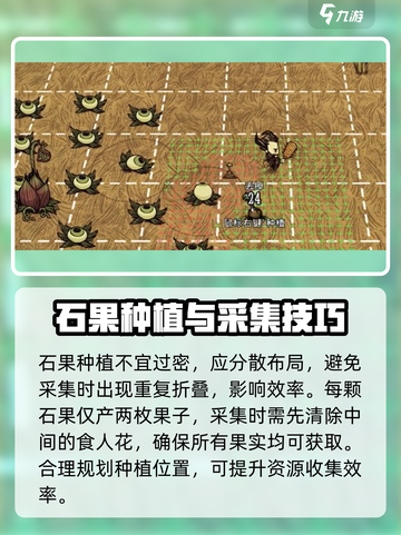 饥荒联机版石果采摘消失怎么办介绍截图3