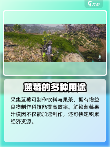 《七日世界》蓝莓采集点大曝光！🔥速来打卡最佳地点🎉截图4