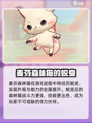 出发吧！麦芬森林猫🔥技能全解析，游戏党必看！截图4