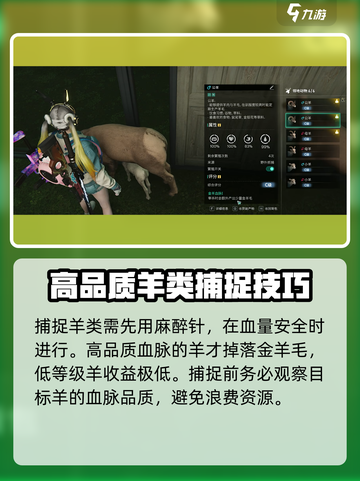 七日世界金羊毛获取攻略介绍截图4
