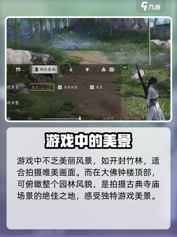 燕云十六声拍照保存的位置在哪介绍截图3