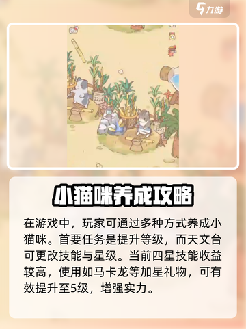 🎮《猫咪和汤》灰色猫咪养成秘籍大公开！截图4