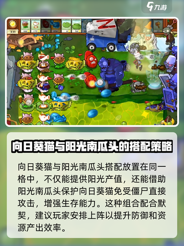植物大战僵尸杂交版向日葵猫玩法攻略介绍截图4