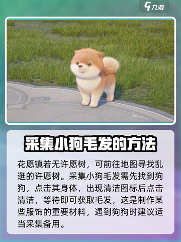 无限暖暖狗狗在哪介绍截图5
