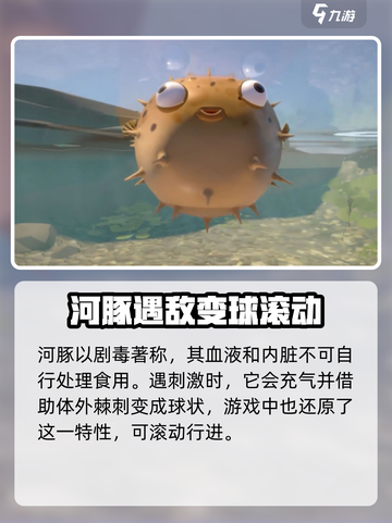 我是小鱼儿玩家必看！角色大揭秘🔥游戏名必备🎉截图3
