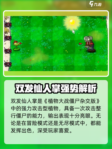 🎮植物大战僵尸双发仙人掌测评！💥截图2