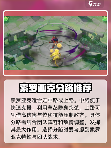 宝可梦大集结🔥索罗亚克技能配招攻略✨截图3