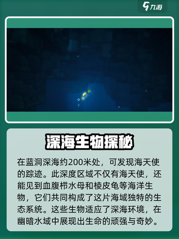 潜水员戴夫手游💎海天使位置大揭秘🔥截图2