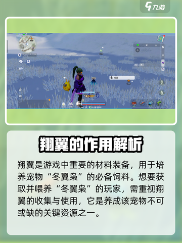 创造吧我们的星球🔥翔翼物品详情揭秘！🚀截图2