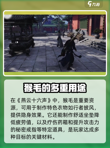 燕云十六声猴毛是什么介绍截图2