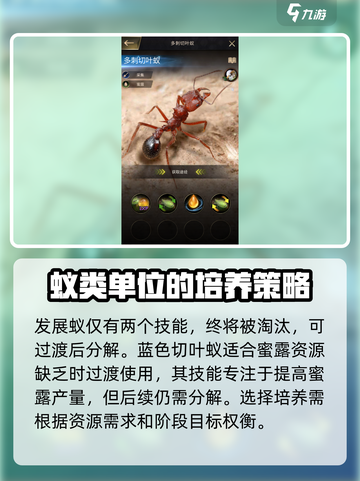 小小蚁国切叶蚁有什么用介绍截图3