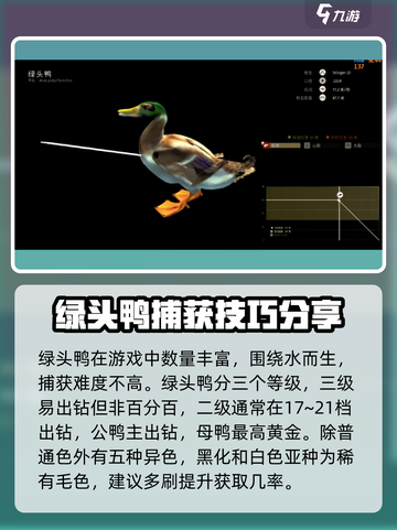 猎人之路🔥绿头鸭抓捕秘籍🎉截图2