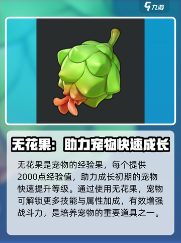 洛克王国手游道具有哪些介绍截图6