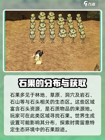 饥荒联机版石果采摘消失怎么办介绍截图4