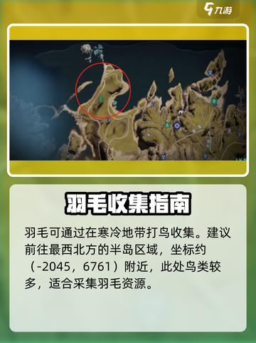 七日世界🔥羽绒防寒外套制作方法全揭秘！截图3
