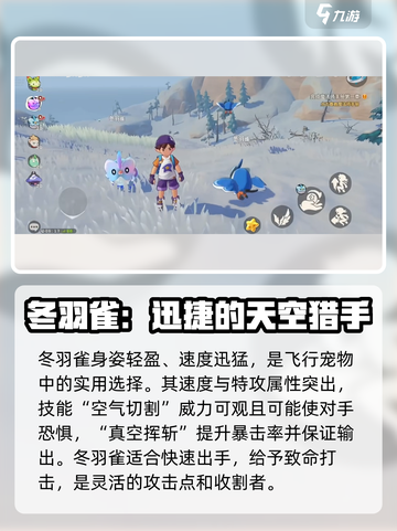 洛克王国手游飞行宠物推荐介绍截图3