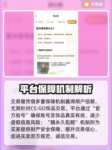 🔥CSGO饰品交易TOP平台大揭秘！🎮💥截图4