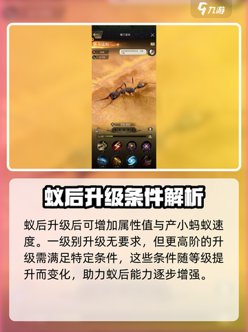 小小蚁国满级蚁后多少级介绍截图3