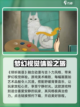 倾听画语中文版怎么下介绍截图2