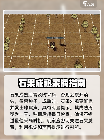 饥荒联机版石果采摘消失怎么办介绍截图2