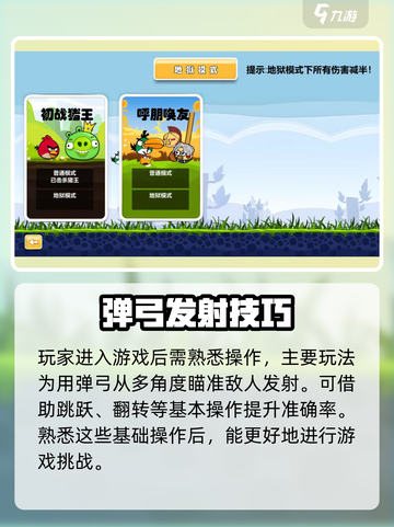 愤怒的小鸟肉鸽版🔥玩法攻略，快来看看吧！🎮截图2
