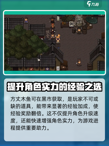 大江湖之苍龙与白鸟黑市在哪介绍截图4