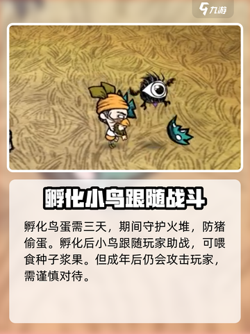 饥荒联机版😎高脚鸟蛋孵化方法大揭秘🎉截图5