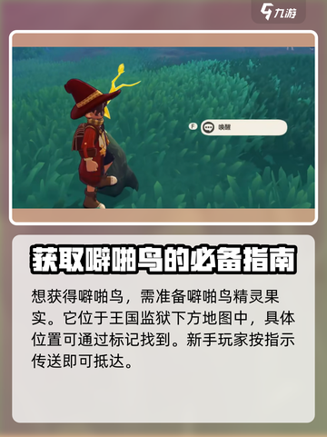 洛克王国世界🔥噼啪鸟获取攻略🎉截图2