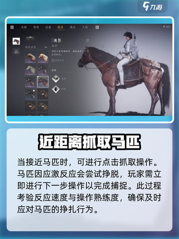 燕云十六声马在哪抓介绍截图3