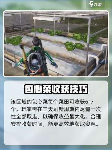 七日世界包心菜如何获取介绍截图5
