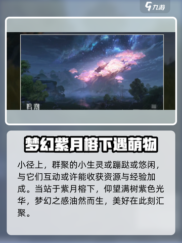 鸣潮无光之森观景点位置在哪里介绍截图4
