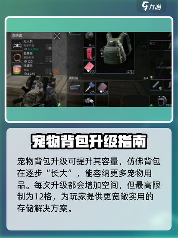 萤火突击💎宠物背包升级攻略，快速提升战力🔥截图2