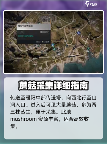 七日世界蘑菇在哪采集介绍截图3