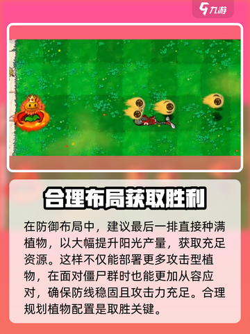 植物大战僵尸：杂交向日葵🔥超强攻略来啦！截图3