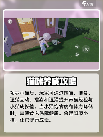 心动小镇养猫详细攻略，撸猫党必看！🐾截图4