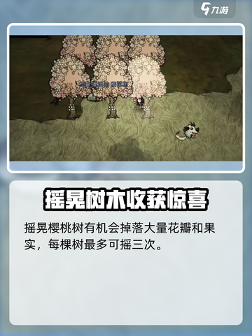 饥荒新家园樱花树怎么种介绍截图4