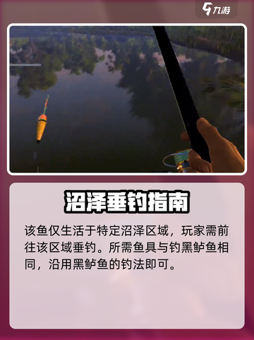 《钓鱼星球斑点黑鲈爆钓技巧！🎣》截图3