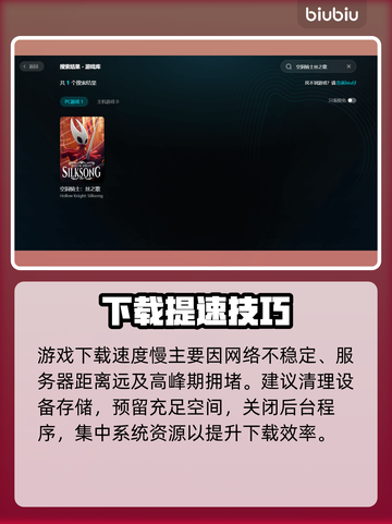 🎮空洞骑士丝之歌下载太慢？试试这些方法！截图2