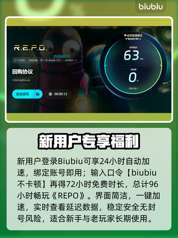 🔥REPO延迟掉线？速看解决攻略！💥截图4