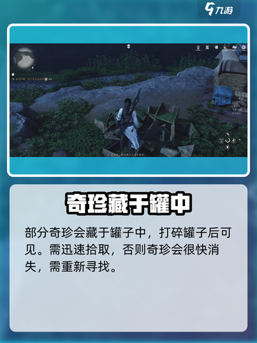 燕云十六声🔥奇珍系统大揭秘！游戏党必看✨截图5