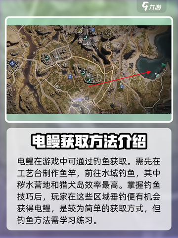 七日世界⚡电鳗获取秘籍，玩家必看！🔥截图2